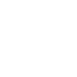 Synerlan